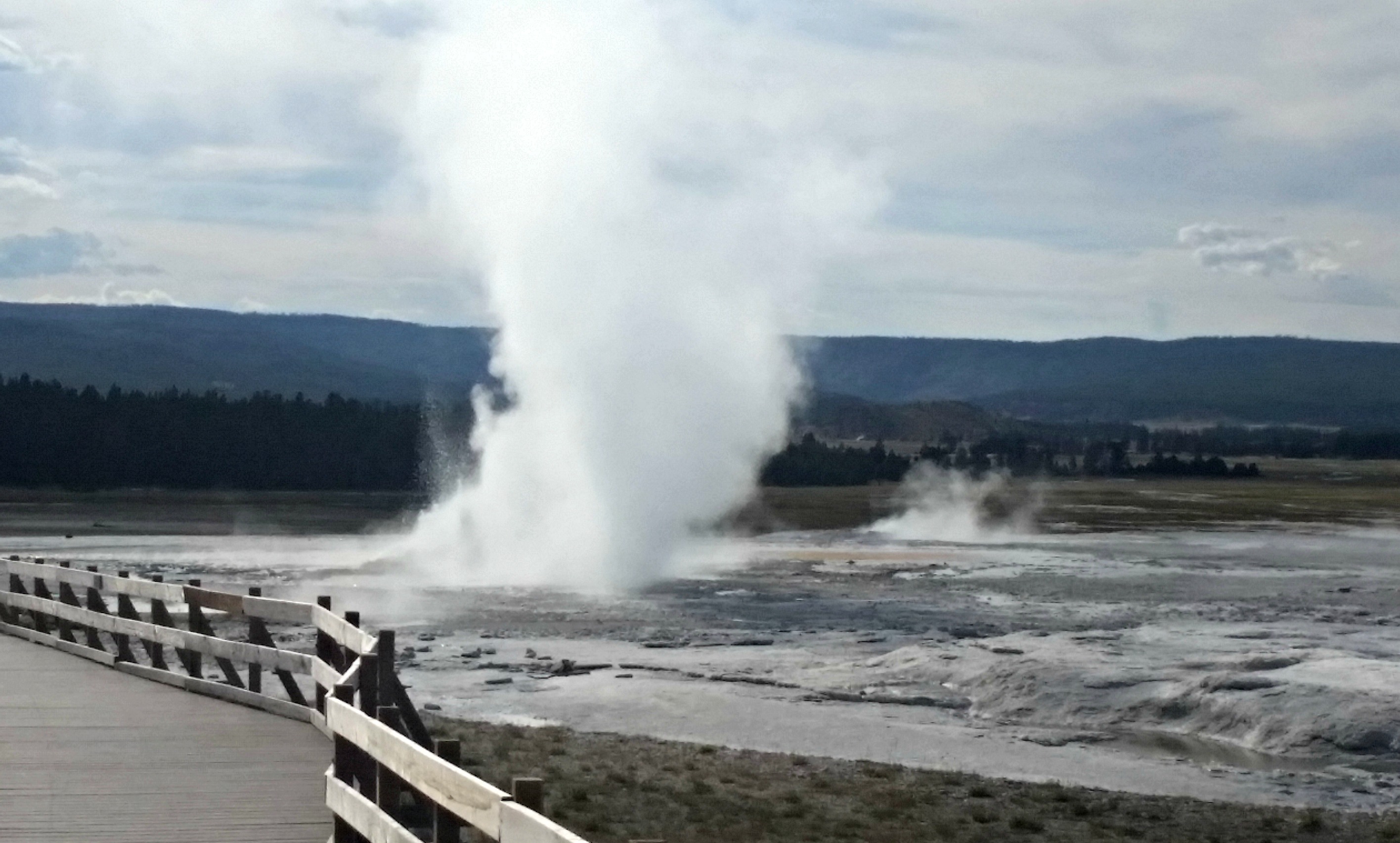 Geyser in Yellowstone National Park